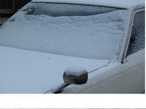 車の雪